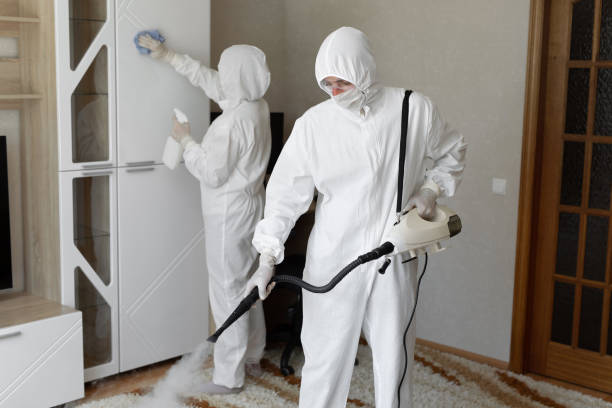 Best Attic Mold Removal  in Clarksburg, WV