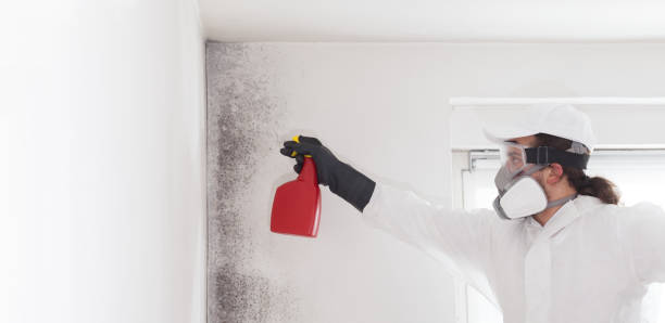 Reliable Clarksburg, WV Mold Removal Solutions
